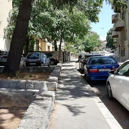 Center Rosita * Split